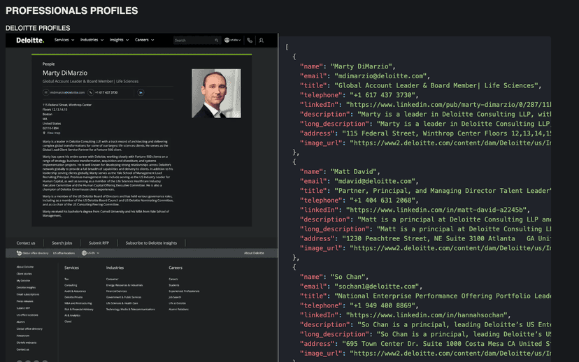 Deloitte Employee Profiles Dataset